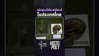 หลักฐานโฮโมเซเปียนส์ ในประเทศไทย history วิวัฒนาการ homosapien histopoly somesortpodcast [upl. by Ameluz]