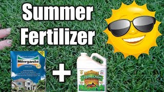 Best Summer Fertilizer for Lawns [upl. by Oniuqa485]