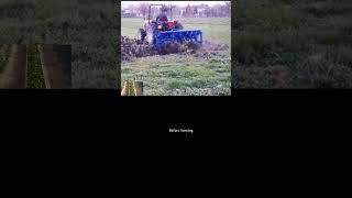 trending farming harvesting viral shorts youtubeshorts Thefarmingfrontiers [upl. by Asoramla]