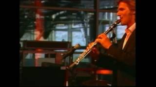 Artie Shaw Clarinet Concerto Andy Milesclarinet [upl. by Alick981]