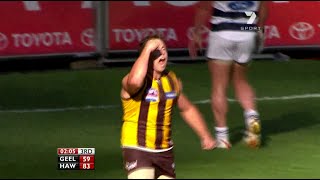 AFL 2008 Grand Final  Hawthorn highlights vs Geelong [upl. by Jepum]