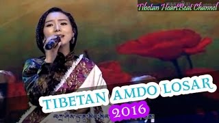 Best of TIBETAN AMDO LOSAR 2016 Tibetan New year [upl. by Ivanna]