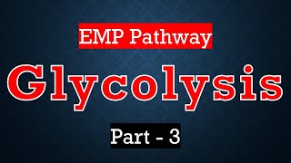 Glycolysis Pathway part 3  Oxidative and Payoff phase of glycolysis  ABT Gurukul [upl. by Kessiah]