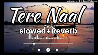 Tere Naal Slowed  Reverb  Aye Musht E Khaak  Asim Azhar  Nish Asher  Feroze Khan  Sana Javed [upl. by Adda466]