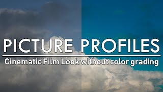 Cinelook PICTURE PROFILE  EASY Cinematic Shots with your CANON DSLR [upl. by Kirst]