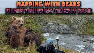 Amazing Afternoon PhotographingFilming Nursing GrizzlyBrown Bears in Alaska [upl. by Sigismund382]