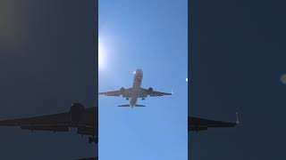 United 767 landing in EWR [upl. by Namolos]