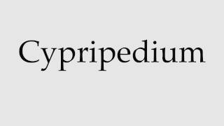 How to Pronounce Cypripedium [upl. by Merce]