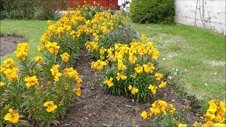 Spring Bedding Update 2019 [upl. by Elspeth]