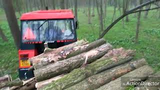 Zetor 5211 v leseReal engine sound [upl. by Asinla]