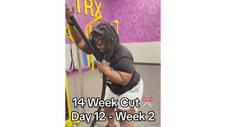 14 Week Cut ✂️ Day 12  Week 2 [upl. by Maren667]