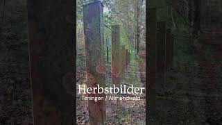 Herbstbilder  Allmendwald  Teningen ausflug emmendingen freizeit [upl. by Trik]