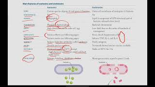 Exotoxins and Endotoxins Bacteria with exotoxins  Microbiology  6  First Aid USMLE in UrduHindi [upl. by Alisan]