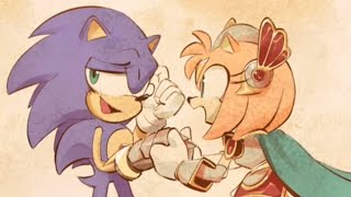 Sonic Meets Paladin Amy Sonamy Comic dub [upl. by Rhoda48]