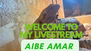 Aibe Amar is live [upl. by Searby]