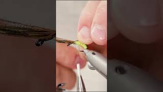 Super EFFECTIVE caddis pupa pattern in 60 seconds Fly tying tutorial Fly tying for beginners [upl. by Fiske]