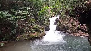 Parque Nacional de Uruapan quotBarranca del Cupatitzioquot [upl. by Llegna223]