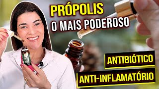 Você Deve Consumir PRÓPOLIS o mais Eficiente Medicamento Natural 🐝 [upl. by Rosenquist]