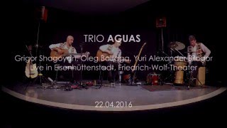 Trio AGUAS Live in Eisenhüttenstadt Friedrich Wolf Theater Sounds of Armenia  Shalakho [upl. by Schwartz]