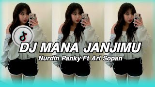 DJ JANJI MANISMU  Nurdin Panky Ft Arif Sopan  SOUND TIKTOK VIRAL 2024 [upl. by Grant]