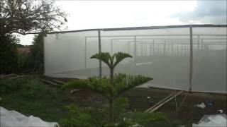 Instalación Malla AntiTrip para un cultivo de Tomates [upl. by Earb]