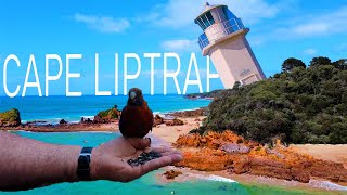 Bear Gully Cape Liptrap 2024 [upl. by Brunk364]