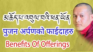 Benefits Of offerings In Buddhism  Pujan arpan ko Faida Haru [upl. by Huckaby]