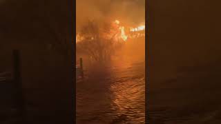 Search and rescue teams looking for hurricane survivors amid raging fire shorts [upl. by Alejandrina268]