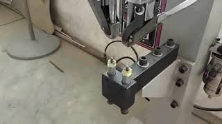 Dual Heads Pneumatic Automatic Riveting Machine Riveting Hollow Rivets [upl. by Maudie61]