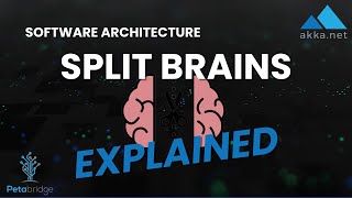 Split Brains Explained [upl. by Ramoh]