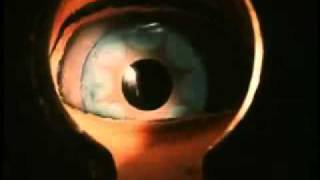 Childs Play 2 A brand new set of eyes HD CLIP [upl. by Padgett641]