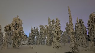 Strolling up the slope of Ruka Ski Resort Finland [upl. by Eamaj]