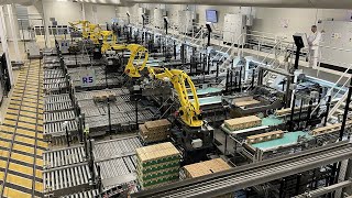 Ep 2  Futureproof robotic palletizing system built for continuous transformation [upl. by Linson]