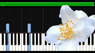 2 Hours of Chinese Soothing amp Relaxing Piano Solo Music  Piano Solo For Studying [upl. by Assenat]