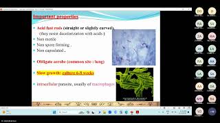 Mycobacteria TB Leprosy PART1 by Dr Abdulrahman Alhusaini [upl. by Branscum485]