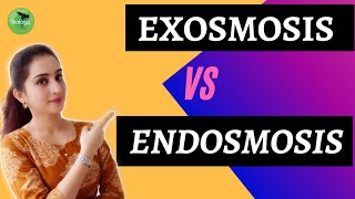 Difference between endosmosis and exosmosis PlasmolysisExosmosisVsEndosmosis class 9ScienceOholic [upl. by Curhan]