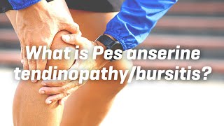 What is Pes anserine tendinopathybursitis [upl. by Acnayb821]