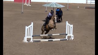 Kathleen Elliot riding quotIcequot at PVRA Working Equitation Show 6224 [upl. by Esten381]