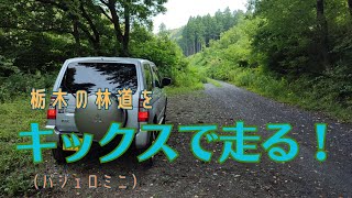 【車載動画】栃木の林道をキックスで走る [upl. by Amethist]