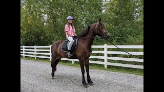 My first horseback riding lesson [upl. by Serdna]