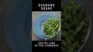 How to cook Edamame [upl. by Airdnola]