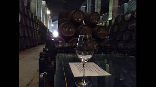 Ultimate private Sherry wine tour Cadiz [upl. by Tiny706]