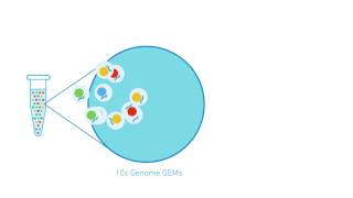 10x Genomics Chromium Genome 系統原理  威健生技 [upl. by Eirrak]