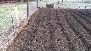 How to make furrows with a tiller in Bubbas garden [upl. by Laraine]