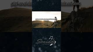 Los Adolescentes Orquesta Persona Ideal music youtubeshorts salsa salsaromantica [upl. by Stranger]