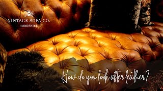 Vintage Sofa FAQ Care For Aniline Leather [upl. by Nerrawed]