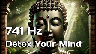 741 Hz Frequency  Detox Your Mind amp Cleanse Negative Energy [upl. by Germana10]