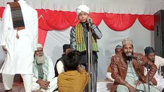 New Kalam New Sayar Hassan Raza Faizabadi 2024 vairalvideo diamondofficialnews [upl. by Mccarty485]