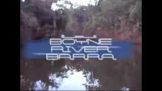 Boyne River Barramundi [upl. by Ethelda677]