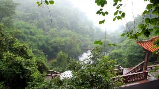 Rainforest Thunderstorm Sounds In HD [upl. by Guadalupe]